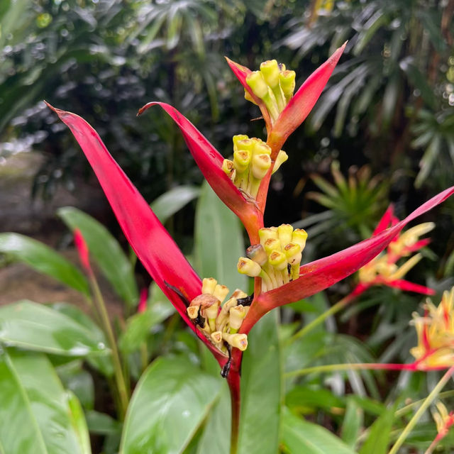 芳林公園·城市綠洲中的童趣