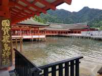 [🇯🇵広島] 厳島神社の美しい建築と歴史を巡る