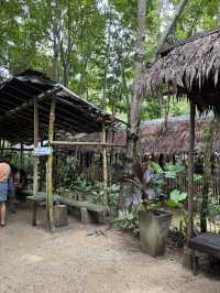 ตลาดใต้โหนด