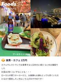 カップルで年越し🎉3泊5日のシンガポール旅費公開✨