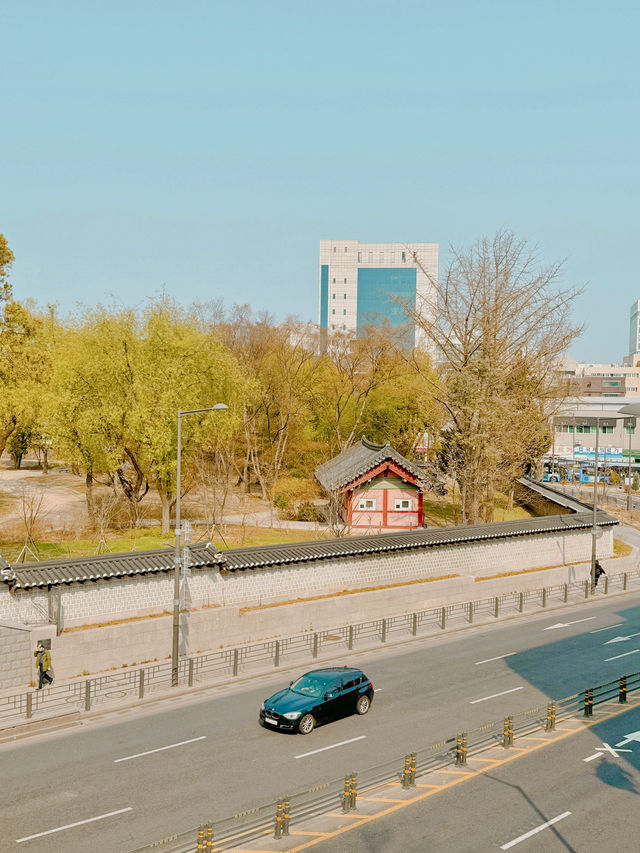 걷기 좋은 덕수궁 돌담길 🌸