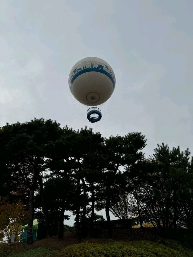 행궁동 감성 가득한 힐링 공간 카페 루소홈