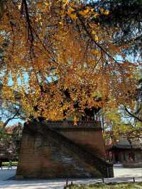 Stepping Into History: My Journey to the Majestic Big Wild Goose Pagoda