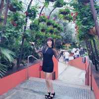Nature's Harmony: My Unforgettable Visit to Gardens by the Bay
