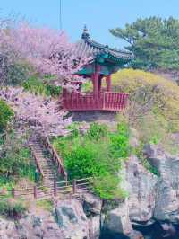 : 제주 가볼만한 곳 : 제주 용연계곡 / 용연구름다리