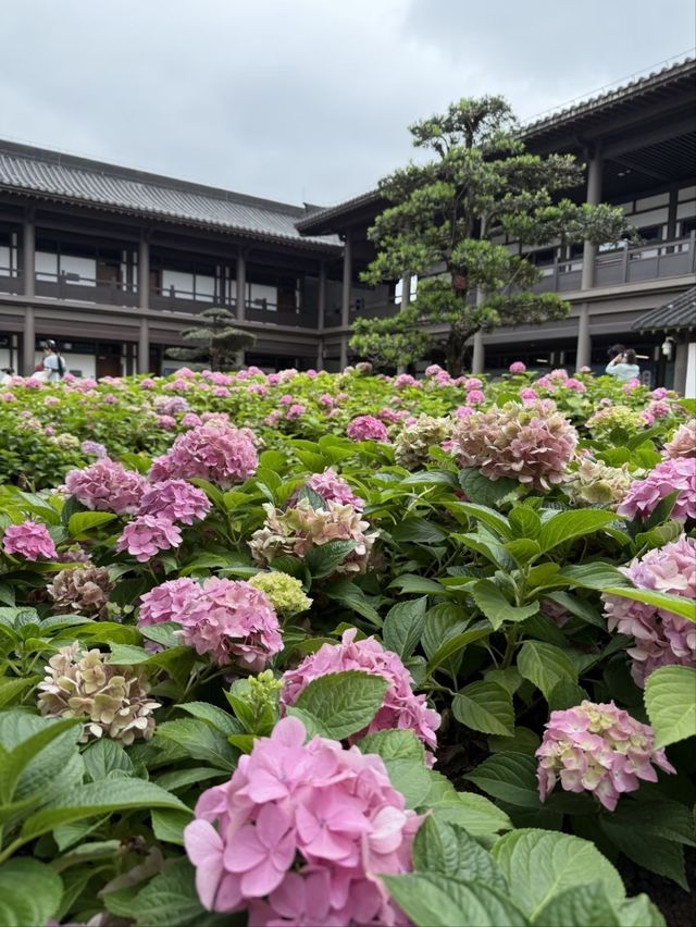 Guangzhou New Cultural Center– A Modern Hub of Lingnan Arts & Innovation