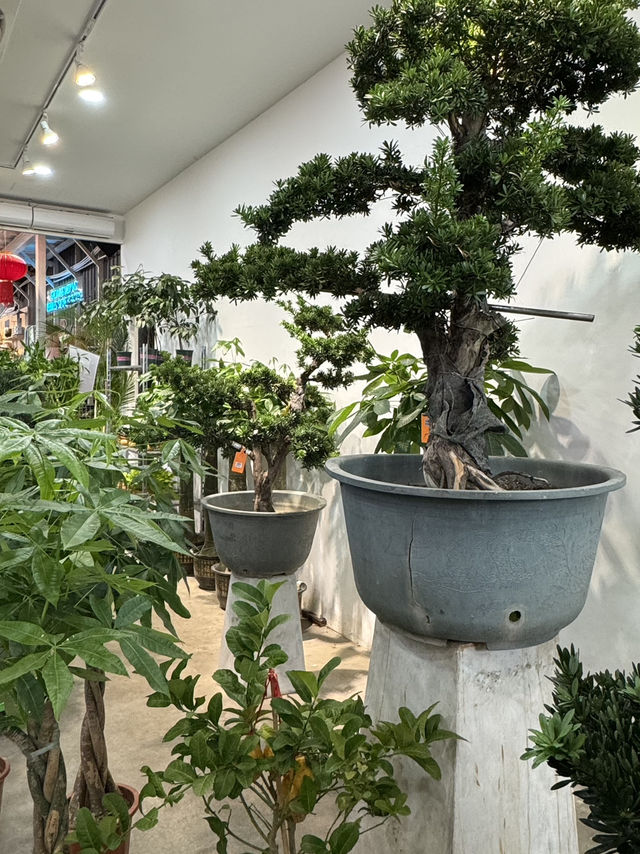 A Floral Wonderland: Discover the New Pudu Ria Florist in KL