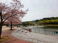 [🇰🇷蔚山] 蔚山大公園で楽しむ春の花見スポット