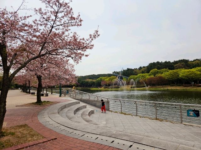 [🇰🇷蔚山] 蔚山大公園で楽しむ春の花見スポット