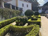 Gardens with a view 