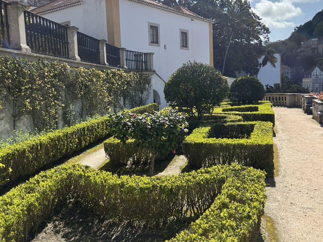 Gardens with a view 