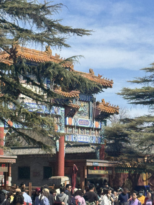 옹화궁 라마템플 