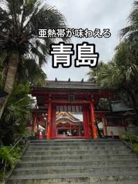 【宮崎】まるでジャングル！美しい神社もある青島