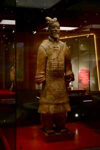 香港歷史博物館展出秦始皇兵馬俑等逾130套秦漢時期珍貴文物