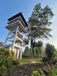 Johor Bahru City Council City Forest