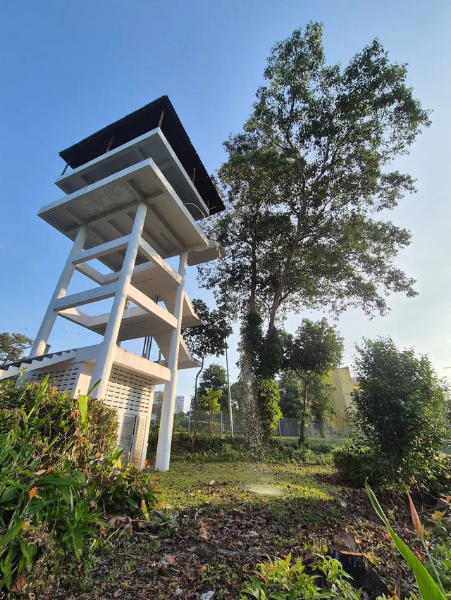 Johor Bahru City Council City Forest