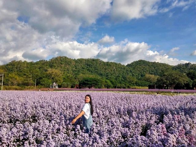 Hokkaido Flower Park Khaoyai