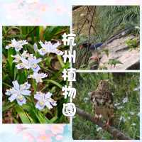 自由行：就在杭州不遠處。。。