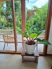 หลบร้อนมานั่งคาเฟ่เปิดใหม่ในปราณบุรี