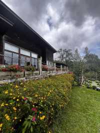 🌸 Spring Garden Kundasang – A Floral Escape in Sabah’s Highlands