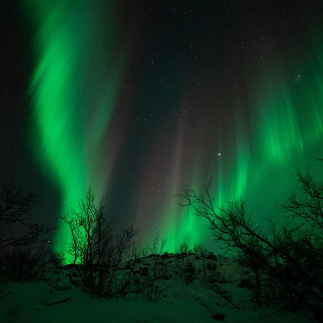 Chasing Aurora in Tromsø: Frozen Toes, Whale Snot, & the Night Sky’s Greatest Show ✨🌌