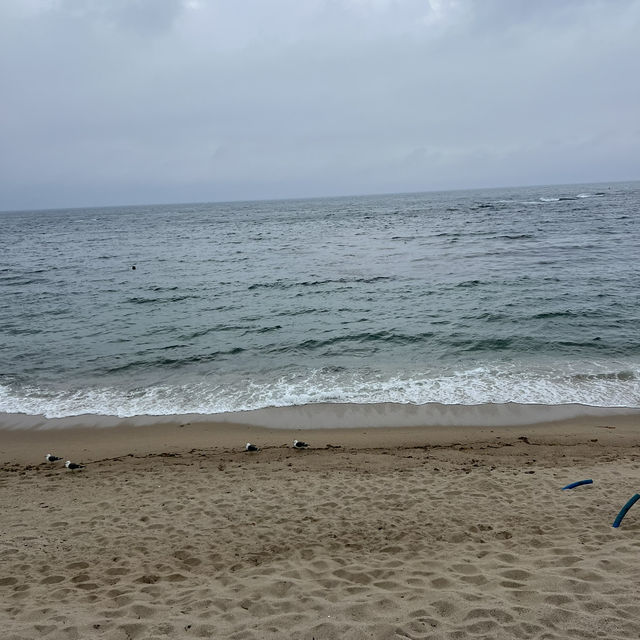 고성 청간해변