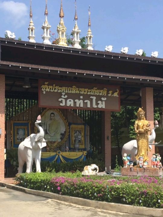 วัดสวยศิลปะล้านนา วัดท่าไม้✨️