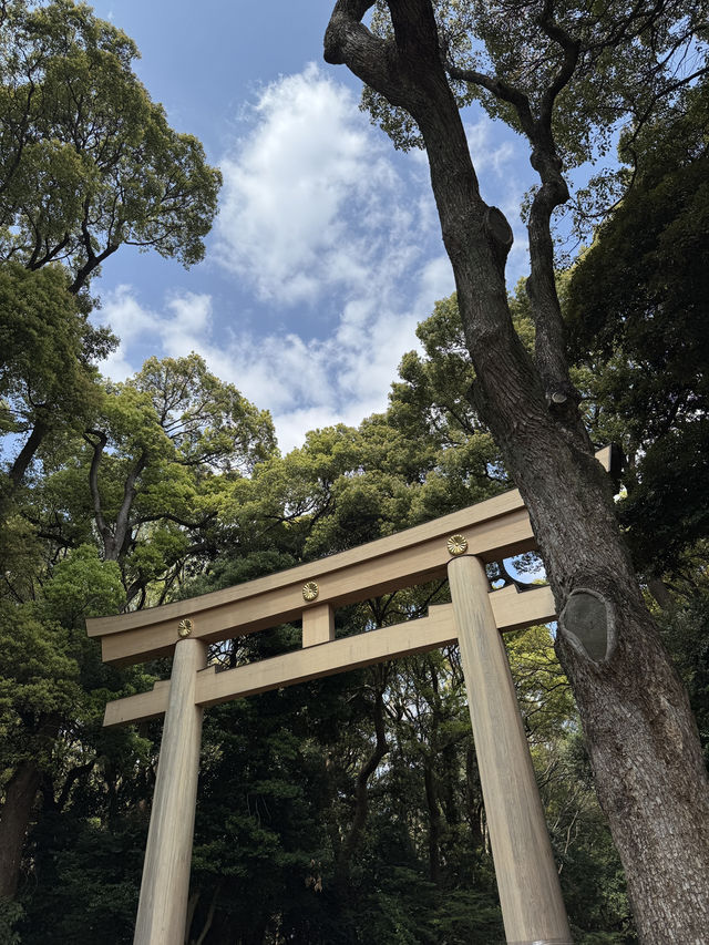 東京｜原宿站與明治神宮一日遊