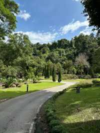Flora Creek เชียงใหม่