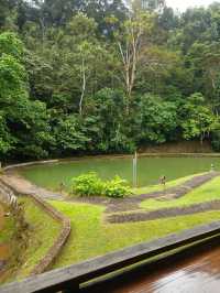 Dining with Natural at Pineyard Café