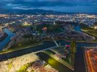 日與夜賞櫻：北海道五稜郭公園