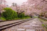🚂🌸 Keage Incline: Kyoto’s Most Instagram-Worthy Abandoned Railway! 🌸🚂
