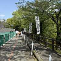 kumamoto castle ปราสาทโบราณที่ต้องแวะ