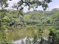 新竹峨眉-十二寮大埤一日遊、湖光山色、輕鬆漫步超療癒！ 