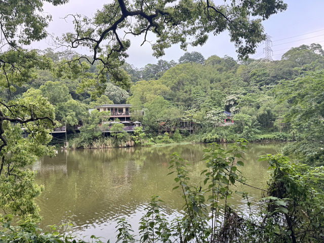 新竹峨眉-十二寮大埤一日遊、湖光山色、輕鬆漫步超療癒！ 