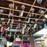 🇯🇵【愛媛県】四国八十八ヶ所霊場 第62番札所 観音院　宝寿寺