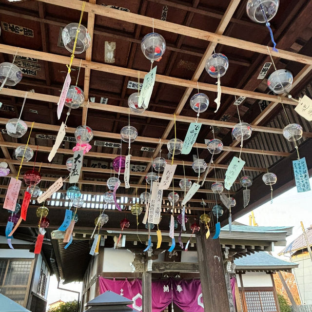 🇯🇵【愛媛県】四国八十八ヶ所霊場 第62番札所 観音院　宝寿寺