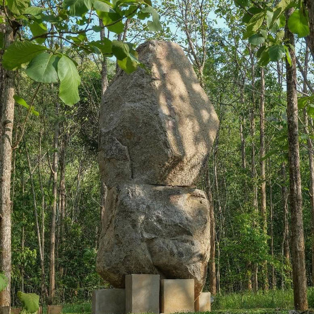 เปิดประสบการณ์ชมงานศิลป์กลางป่าใหญ่🌿