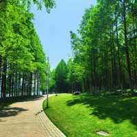 ～列聖生態休閒公園～游走於繁花之間～