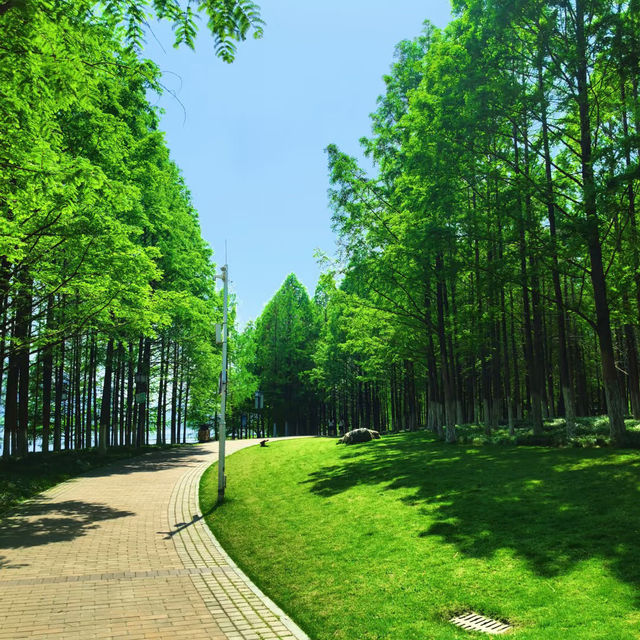～列聖生態休閒公園～游走於繁花之間～