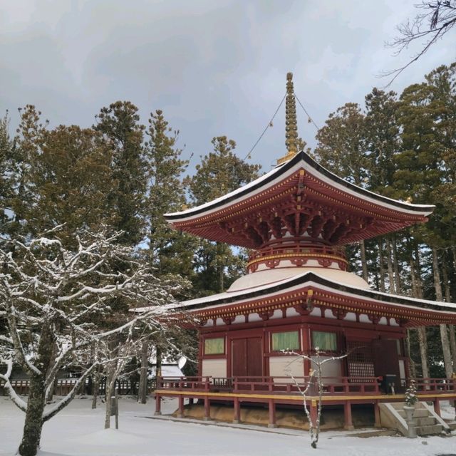 【高野山】壇上伽藍