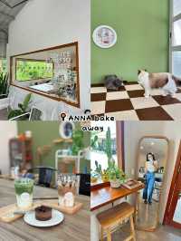 มัดรวมคาเฟ่สำหรับทาสแมว  พาไปคาเฟ่เด็กเอนฯ🐈