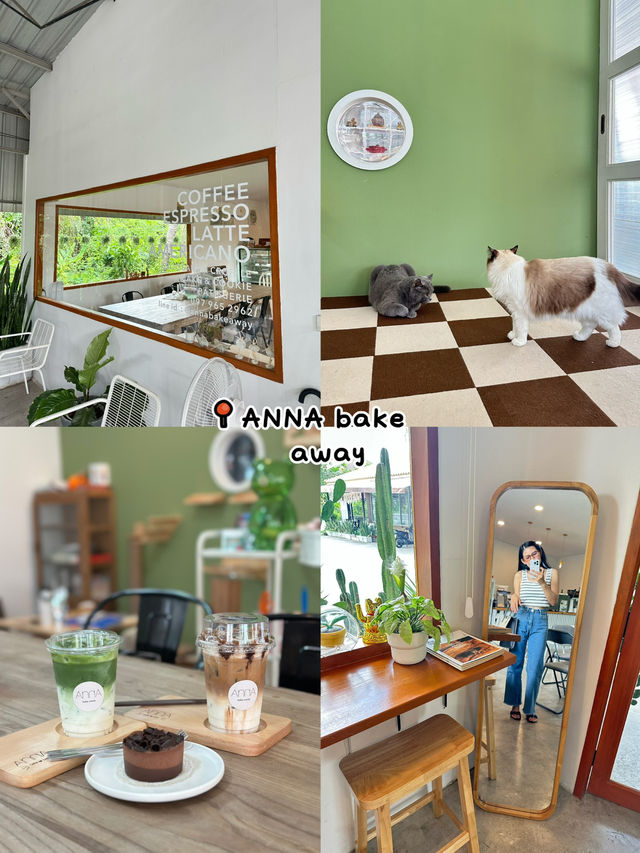 มัดรวมคาเฟ่สำหรับทาสแมว  พาไปคาเฟ่เด็กเอนฯ🐈