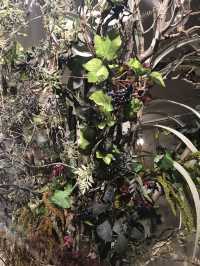 【横浜元町から山手の港の見える丘公園を歩きイギリス館へ】
