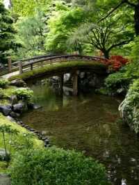 kyoto imperial palace