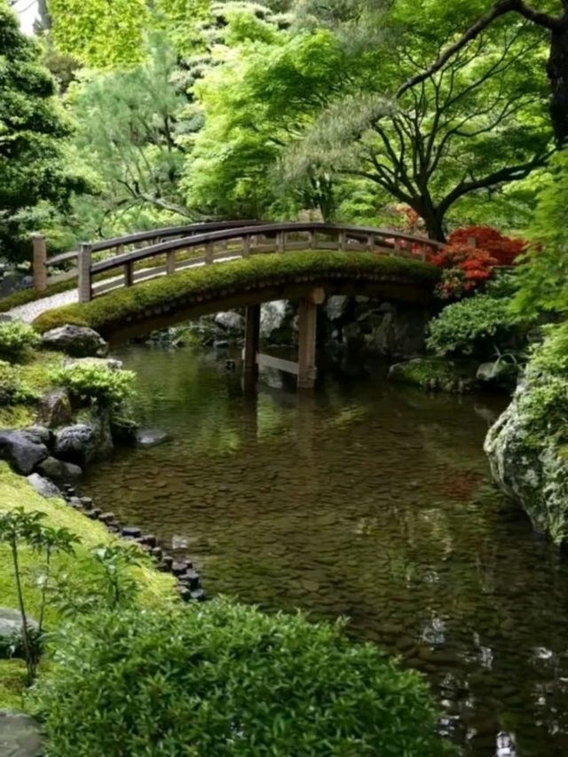 kyoto imperial palace