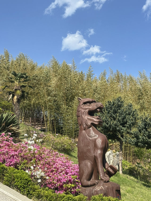 🏝️아름다운 야자수와 꽃들, 휴양지감성의 강원도 삼척 명소 여행가이드추천 💐