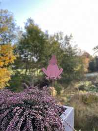Wenden in Autumn: Where German Countryside Turns into a Golden Canvas