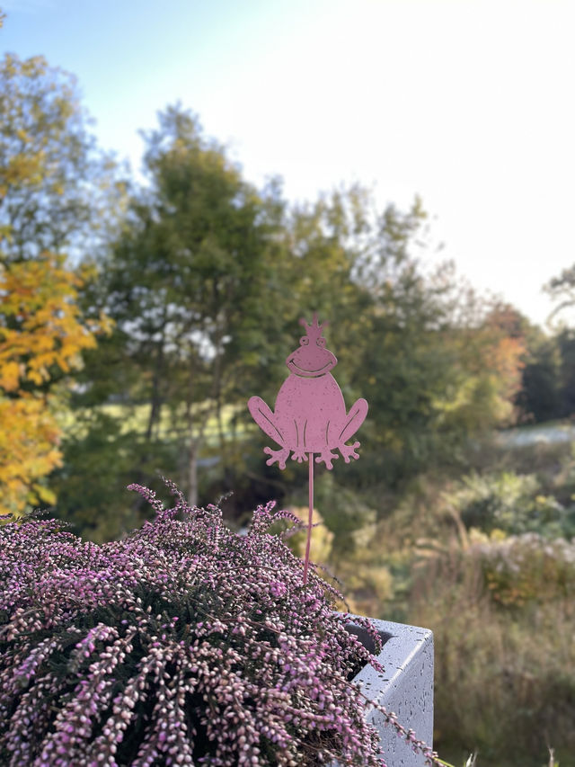 Wenden in Autumn: Where German Countryside Turns into a Golden Canvas