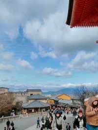 #古都的樱花之韵 #日本京都